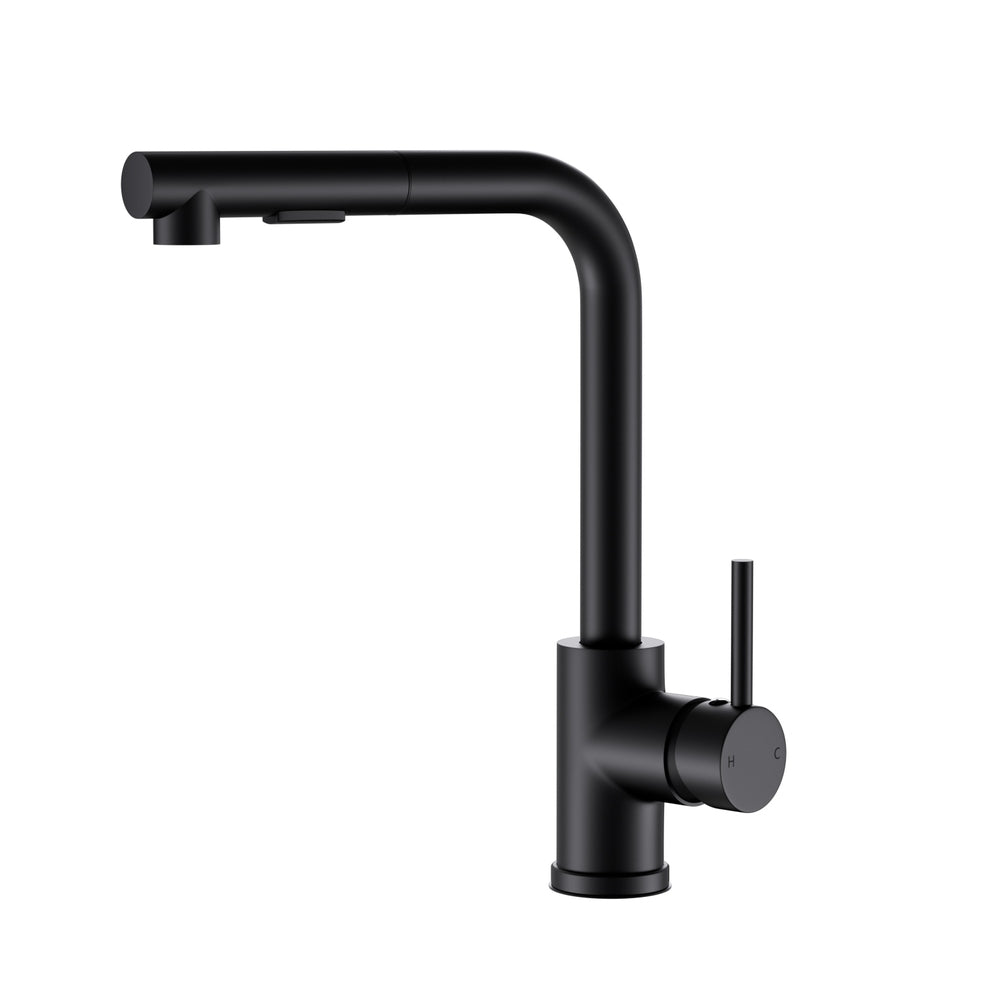 ProFlow Black Kitchen Mixer Tap with Pull-Out Rectangle Spout 2 Mode