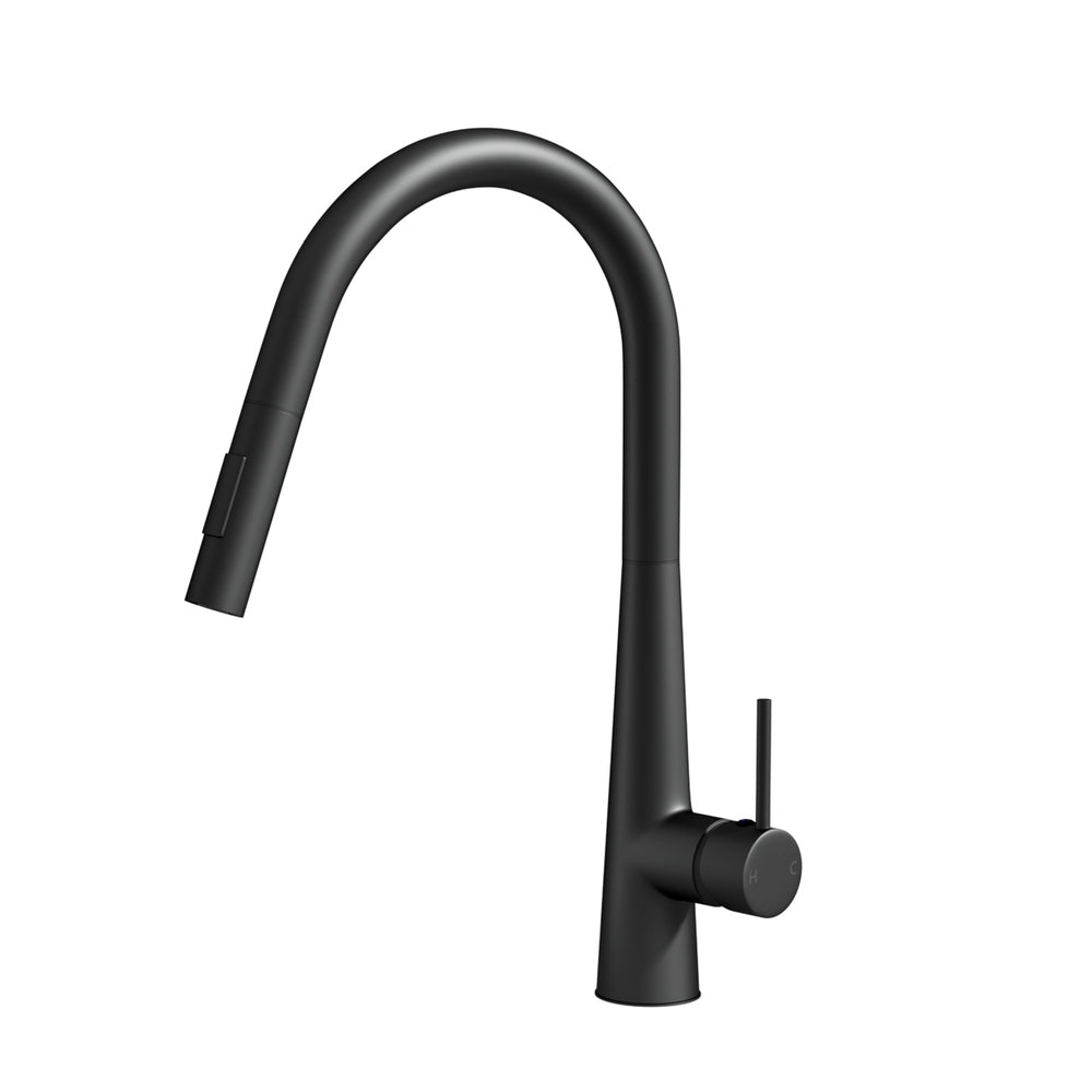 ProFlow Black Kitchen Mixer Tap with Pull-Out Round Spout and 2 Modes