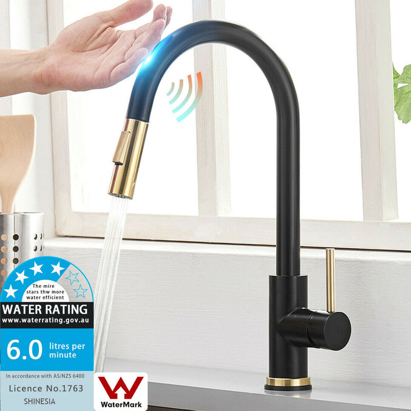 The Sink Spot Brushed Gold Spout Matte Black Pull-Out Kitchen Mixer Tap with Spray Function